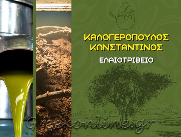ΕΛΑΙΟΤΡΙΒΕΙΟ ΣΧΙΝΟΛΑΚΚΑ ΜΕΣΣΗΝΙΑΣ  ΚΑΛΟΓΕΡΟΠΟΥΛΟΣ ΚΩΝΣΤΑΝΤΙΝΟΣ
