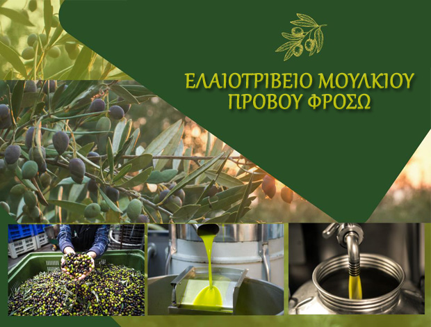 ΕΛΑΙΟΤΡΙΒΕΙΟ ΜΟΥΛΚΙ ΚΙΑΤΟ ΠΡΟΒΟΥ ΦΡΟΣΩ