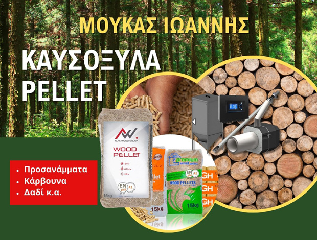 ΚΑΥΣΟΞΥΛΑ – ΠΕΛΛΕΤ ΛΑΜΙΑ ΜΟΥΚΑΣ ΙΩΑΝΝΗΣ