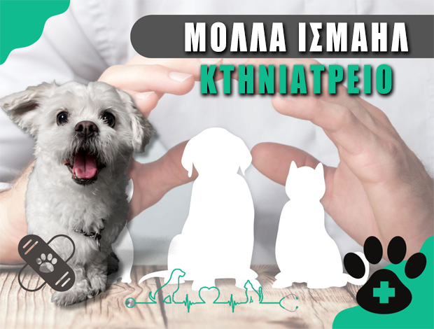 ΚΤΗΝΙΑΤΡΕΙΟ ΚΟΜΟΤΗΝΗ ΜΟΛΛΑ ΙΣΜΑΗΛ