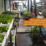 ΦΥΤΩΡΙΟ-ΠΑΛΑΙΑ-ΦΩΚΑΙΑ-ΓΕΩΠΟΝΙΚΗ-ΛΥΣΗ-GREEKONLINE