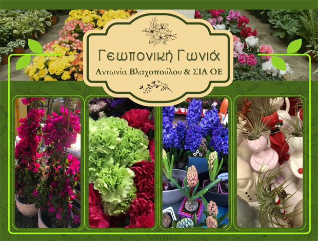 ΓΕΩΡΓΙΚΑ ΕΙΔΗ ΠΑΛΑΙΟ ΦΑΛΗΡΟ “ΓΕΩΠΟΝΙΚΗ ΓΩΝΙΑ” ΑΝΤΩΝΙΑ ΒΛΑΧΟΠΟΥΛΟΥ & ΣΙΑ ΟΕ