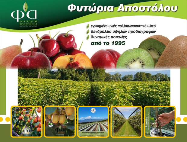 ΦΥΤΩΡΙΟ ΕΠΙΣΚΟΠΗ ΝΑΟΥΣΑΣ ΗΜΑΘΙΑΣ  “ΦΥΤΩΡΙΑ ΑΠΟΣΤΟΛΟΥ”  ΑΠΟΣΤΟΛΟΥ ΠΑΣΧΑΛΗΣ