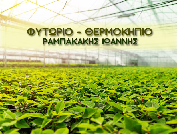 ΦΥΤΩΡΙΟ – ΘΕΡΜΟΚΗΠΙΟ ΝΕΑ ΠΕΡΑΜΟΣ ΡΑΜΠΑΚΑΚΗΣ ΙΩΑΝΝΗΣ