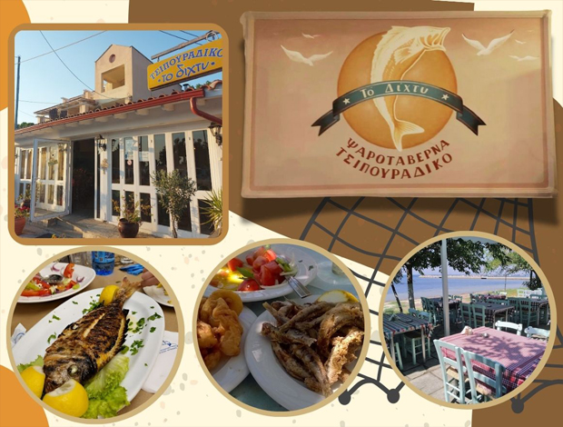 ΨΑΡΟΤΑΒΕΡΝΑ ΕΠΑΝΟΜΗ ΘΕΣΣΑΛΟΝΙΚΗΣ  “ΤΟ ΔΙΧΤΥ”  ΒΑΣΙΛΟΥΔΗΣ ΓΕΩΡΓΙΟΣ