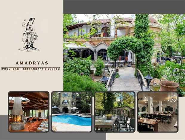 CAFE BAR – RESTAURANT ΦΙΛΥΡΟ ΘΕΣΣΑΛΟΝΙΚΗΣ “ΑΜΑΔΡΥΑΣ ΠΟΛΥΧΩΡΟΣ”
