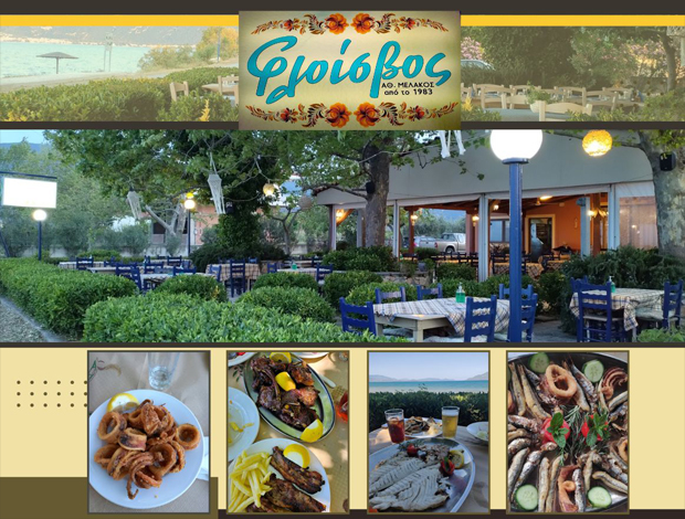 ΤΑΒΕΡΝΑ ΚΑΙΝΟΥΡΓΙΟ ΦΘΙΩΤΙΔΑΣ  “ΦΛΟΙΣΒΟΣ”  ΜΕΛΑΚΟΣ ΑΘΑΝΑΣΙΟΣ