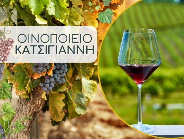 “ΟΙΝΟΠΟΙΕΙΟ ΚΑΤΣΙΓΙΑΝΝΗ”  ΑΓΙΟΣ ΒΑΣΙΛΕΙΟΣ ΚΟΡΙΝΘΙΑΣ  ΚΑΤΣΙΓΙΑΝΝΗΣ ΚΩΝΣΤΑΝΤΙΝΟΣ