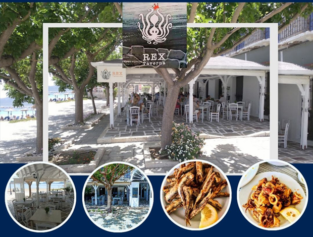 ΤΑΒΕΡΝΑ – CAFE ΜΕΘΩΝΗ  “REX TAVERN”  REX METHONI MON. IKE