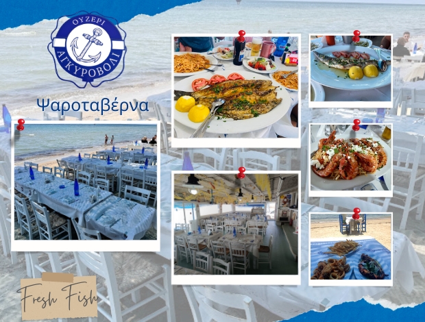 ΨΑΡΟΤΑΒΕΡΝΑ ΕΠΑΝΟΜΗ ΘΕΣΣΑΛΟΝΙΚΗΣ “ΑΓΚΥΡΟΒΟΛΙ” ΚΟΥΡΚΟΥΤΑΣ ΝΙΚΟΛΑΟΣ