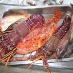ΨΑΡΟΤΑΒΕΡΝΑ ΠΕΡΙΣΣΑ ΣΑΝΤΟΡΙΝΗ FRATZESKOS FISH TAVERN ΚΑΤΣΙΠΗΣ (10)