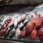 ΨΑΡΟΤΑΒΕΡΝΑ ΠΕΡΙΣΣΑ ΣΑΝΤΟΡΙΝΗ FRATZESKOS FISH TAVERN ΚΑΤΣΙΠΗΣ (11)
