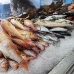 ΨΑΡΟΤΑΒΕΡΝΑ ΠΕΡΙΣΣΑ ΣΑΝΤΟΡΙΝΗ FRATZESKOS FISH TAVERN ΚΑΤΣΙΠΗΣ (12)