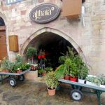Anthopoleio-Skala-Patmou-Althaia-Greekonline-(1)