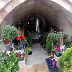 Anthopoleio-Skala-Patmou-Althaia-Greekonline-(4)
