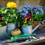 Anthopoleio-Skala-Patmou-Althaia-Greekonline-(5)