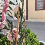 Anthopoleio-Vathy-Samos-Ortansias-Creations-Roussou-Greekonline-4