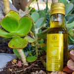 Elaiotriveio-Karlovasi-Samos-Theorema-Olive-Oil-Valsamidi-(20)