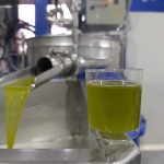 Elaiotriveio-Karlovasi-Samos-Theorema-Olive-Oil-Valsamidi-(21)