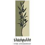 Elaiotriveio-Koumaris-Achaias-Eleofillo-Aggelakopoulos (1)