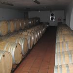 Elaiotriveio-Koumaris-Achaias-Eleofillo-Aggelakopoulos (14)