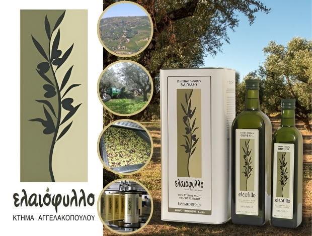 ΕΜΠΟΡΙΟ ΕΛΑΙΟΛΑΔΟΥ ΚΟΥΜΑΡΗΣ ΑΧΑΪΑΣ “ELEOFILLO” ΑΓΓΕΛΑΚΟΠΟΥΛΟΣ ΣΩΤΗΡΙΟΣ