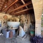 Elaiotriveio-Melidoni-Rethymno-Paraschakis-Family-(20)