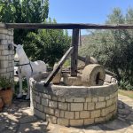 Elaiotriveio-Melidoni-Rethymno-Paraschakis-Family-(22)