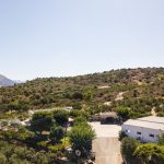 Elaiotriveio-Melidoni-Rethymno-Paraschakis-Family-(3)