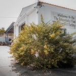 Elaiotriveio-Melidoni-Rethymno-Paraschakis-Family-(5)