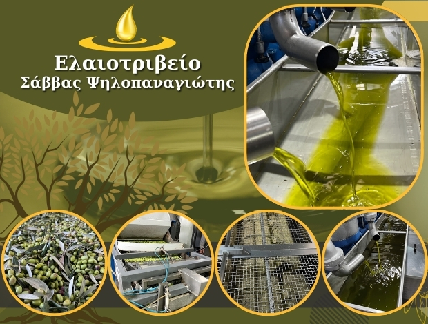 ΕΛΑΙΟΤΡΙΒΕΙΟ ΜΥΡΤΟΣ ΚΑΤΩ ΑΧΑΪΑ ΣΑΒΒΑΣ ΨΗΛΟΠΑΝΑΓΙΩΤΗΣ & ΣΙΑ ΟΕ