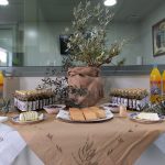 Elaiotriveio-Platanovrysi-Achaias-Kalentzotis (10)