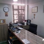 Elaiotriveio-Platanovrysi-Achaias-Kalentzotis (3)