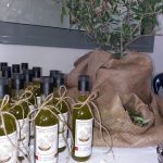 Elaiotriveio-Platanovrysi-Achaias-Kalentzotis (9)