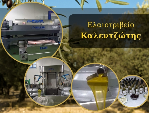 ΕΛΑΙΟΤΡΙΒΕΙΟ ΠΛΑΤΑΝΟΒΡΥΣΗ ΑΧΑΪΑΣ ΚΑΛΕΝΤΖΩΤΗΣ Γ. & ΣΙΑ ΕΕ