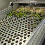 Elaiotriveio-Promyri-Piliou-Filareton-Olive-oil-4