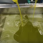 Elaiotriveio-Promyri-Piliou-Filareton-Olive-oil-7