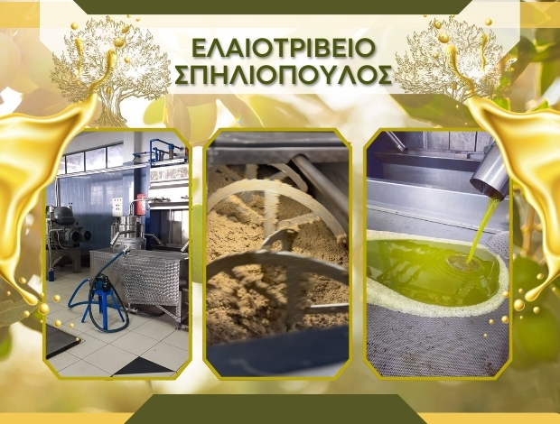 ΕΛΑΙΟΤΡΙΒΕΙΟ ΛΑΛΑΣ ΗΛΕΙΑΣ ΣΠΗΛΙΟΠΟΥΛΟΣ ΛΕΩΝ & ΣΙΑ ΟΕ