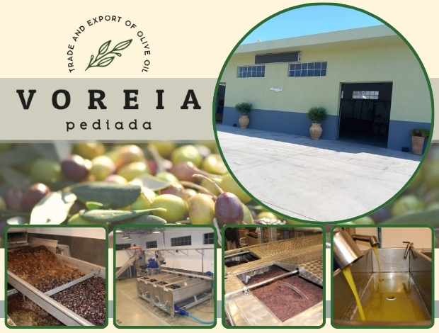 ΕΛΑΙΟΥΡΓΕΙΟ ΠΟΤΑΜΙΕΣ ΗΡΑΚΛΕΙΟΥ  “VOREIA PEDIADA”  ΒΟΡΕΙΑ ΠΕΔΙΑΔΑ ΜΟΝ ΙΚΕ