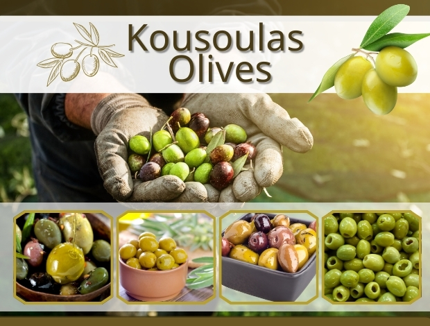 ΧΟΝΔΡΙΚΟ ΕΜΠΟΡΙΟ ΕΛΑΙΩΝ  ΠΕΝΤΑΛΟΦΟΣ ΑΙΤΩΛΟΑΚΑΡΝΑΝΙΑΣ  ΚΟΥΣΟΥΛΑΣ Α. & ΣΙΑ ΙΚΕ