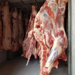 Kreopoleio-Pyrgos-Ilias-Diamantopoulos-Panagiotis-(12)