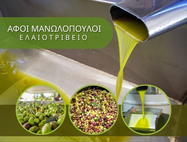 ΠΑΡΑΓΩΓΗ ΕΛΑΙΟΛΑΔΟΥ ΠΛΑΤΑΝΟΒΡΥΣΗ ΑΧΑΪΑΣ ΑΦΟΙ Γ. ΜΑΝΩΛΟΠΟΥΛΟΙ ΟΕ