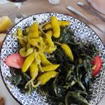 Psitopoleio-Sminthi-Xanthis-To-Vouno-(23)