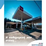 Venzinadiko-Naousa-Imathias-AVIN-Kourtopouloi-Greekonline (19)