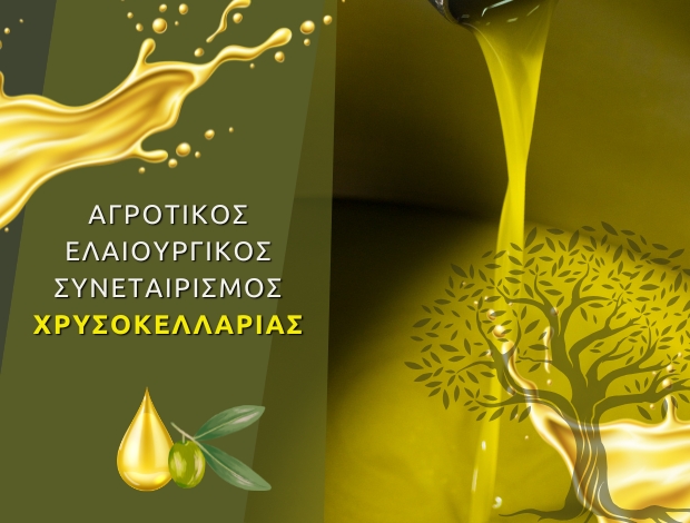 ΑΓΡΟΤΙΚΟΣ ΣΥΝΕΤΑΙΡΙΣΜΟΣ ΧΡΥΣΟΚΕΛΛΑΡΙΑΣ ΜΕΣΣΗΝΙΑΣ