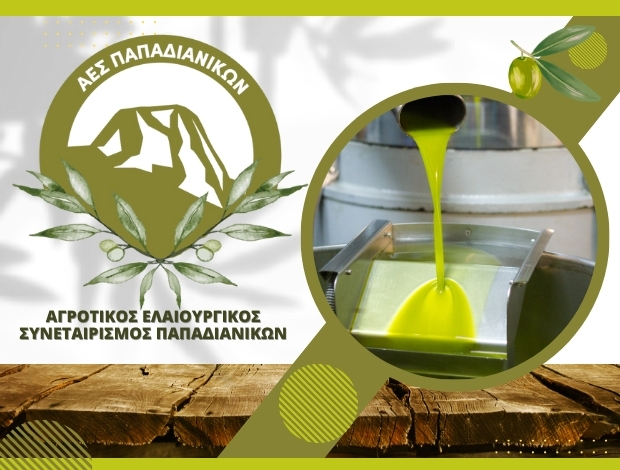 ΑΓΡΟΤΙΚΟΣ ΕΛΑΙΟΥΡΓΙΚΟΣ ΣΥΝΕΤΑΙΡΙΣΜΟΣ ΠΑΠΑΔΙΑΝΙΚΩΝ ΛΑΚΩΝΙΑΣ