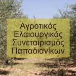 ΑΓΡΟΤΙΚΟΣ-ΕΛΑΙΟΥΡΓΙΚΟΣ-ΣΥΝΕΤΑΙΡΙΣΜΟΣ-ΠΑΠΑΔΙΑΝΙΚΩΝ-ΛΑΚΩΝΙΑΣ