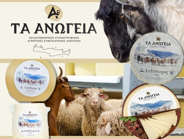 ΓΑΛΑΚΤΟΚΟΜΙΚΟΣ ΚΤΗΝΟΤΡΟΦΙΚΟΣ  ΑΓΡΟΤΙΚΟΣ ΣΥΝΕΤΑΙΡΙΣΜΟΣ ΑΝΩΓΕΙΩΝ  “ΤΑ ΑΝΩΓΕΙΑ”