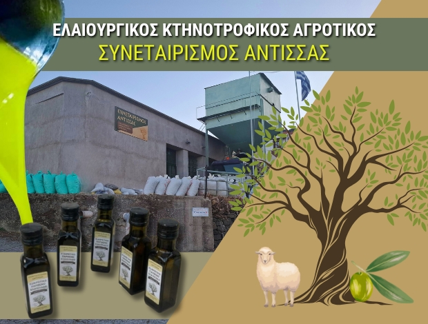 ΑΓΡΟΤΙΚΟΣ ΣΥΝΕΤΑΙΡΙΣΜΟΣ ΑΝΤΙΣΣΑΣ ΛΕΣΒΟΥ