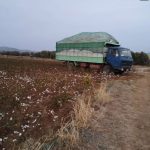 Agrotikos-Synetairismos-Erythron-Attikis-21